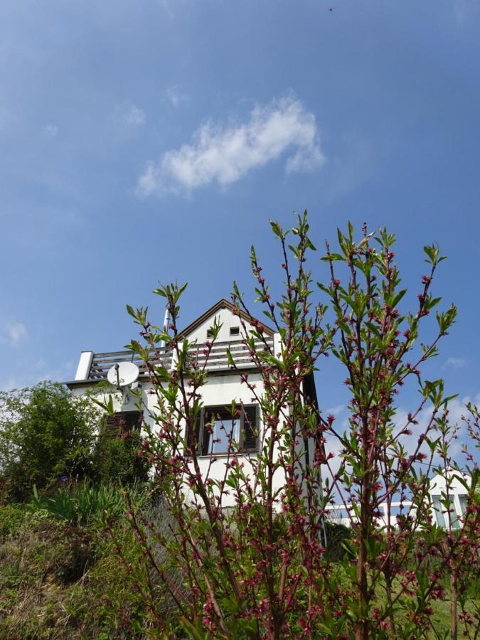 Villa Kellerstoeckl Eisenberg/Pinka Weiner à Eisenberg an der Pinka Extérieur photo