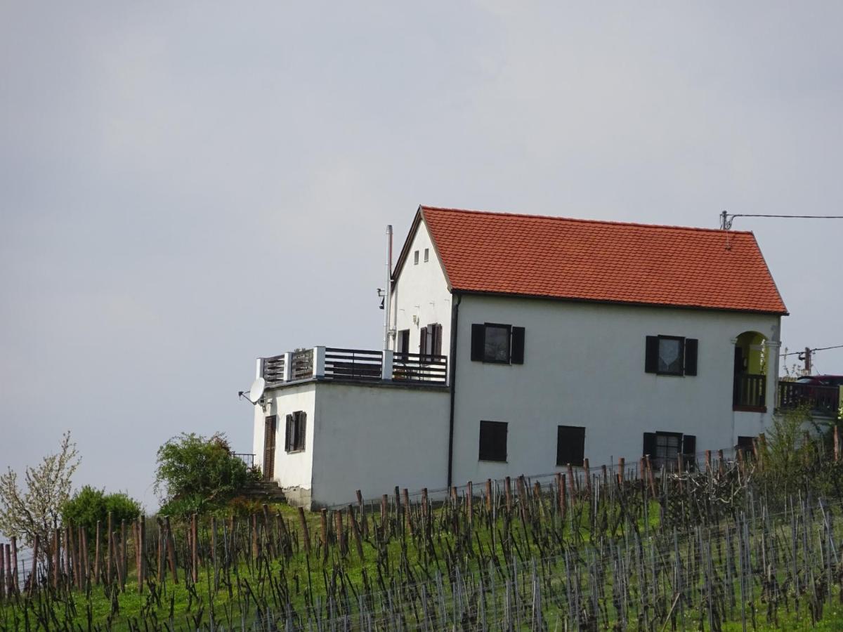 Villa Kellerstoeckl Eisenberg/Pinka Weiner à Eisenberg an der Pinka Extérieur photo